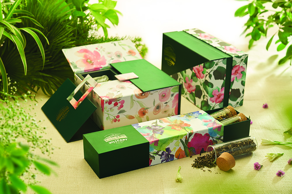 catalog/Gift Boxes/HILLCART6609.jpg